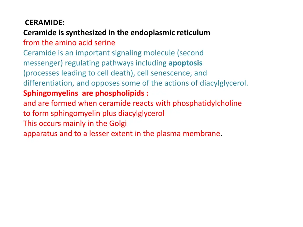 ceramide ceramide is synthesized