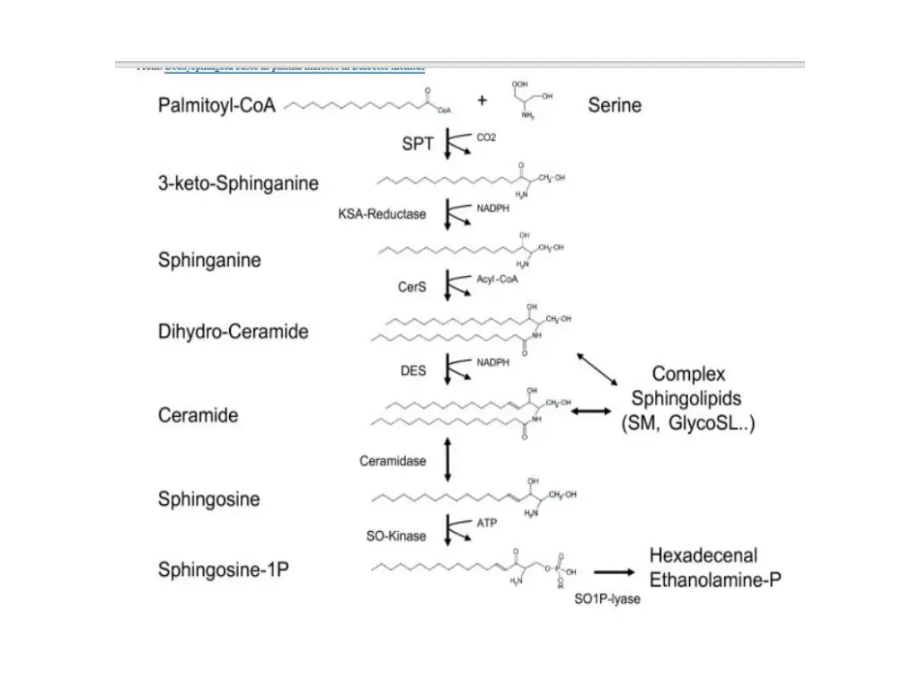 slide7