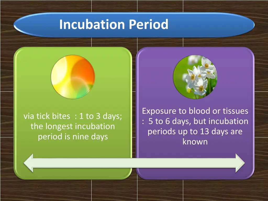 incubation period