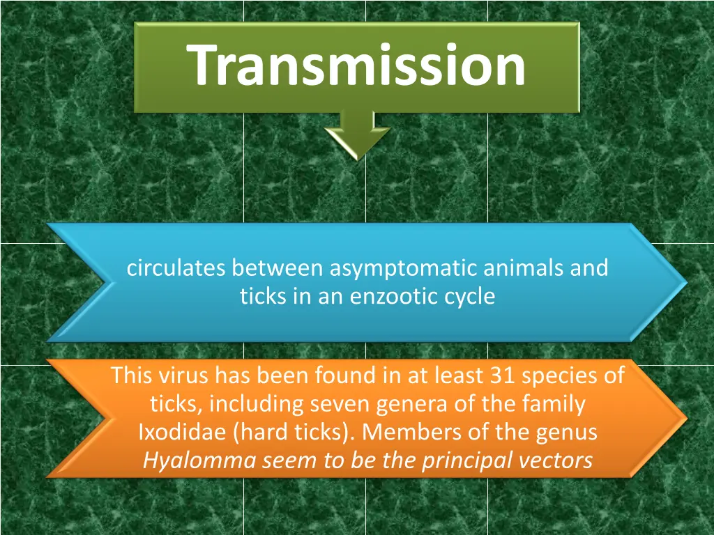 transmission