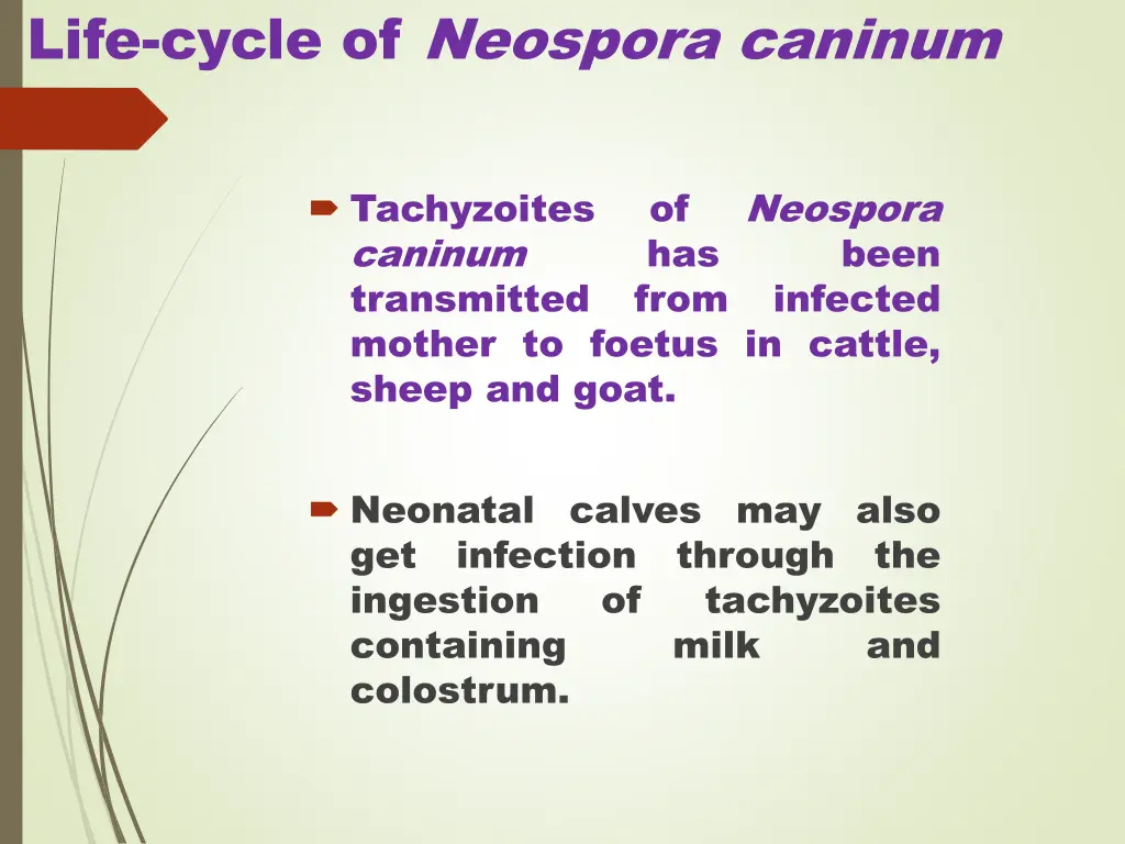 life cycle of neospora caninum 2
