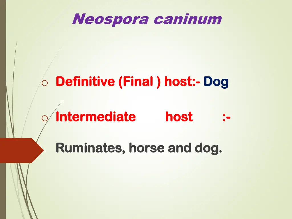 neospora caninum 1