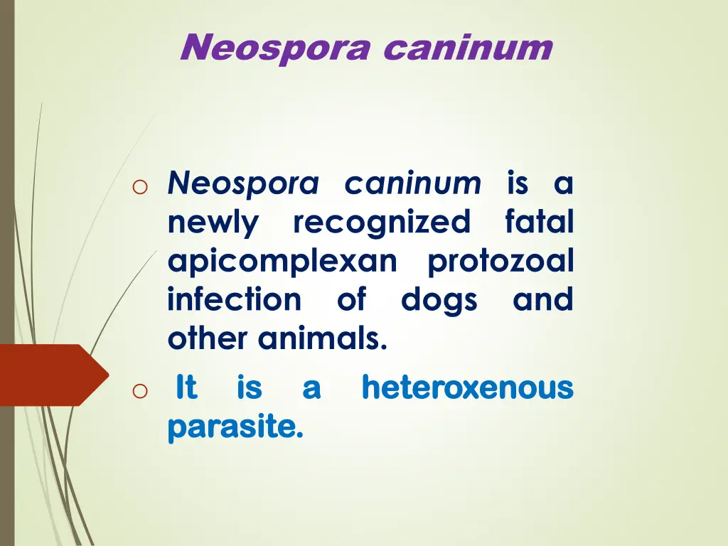neospora caninum