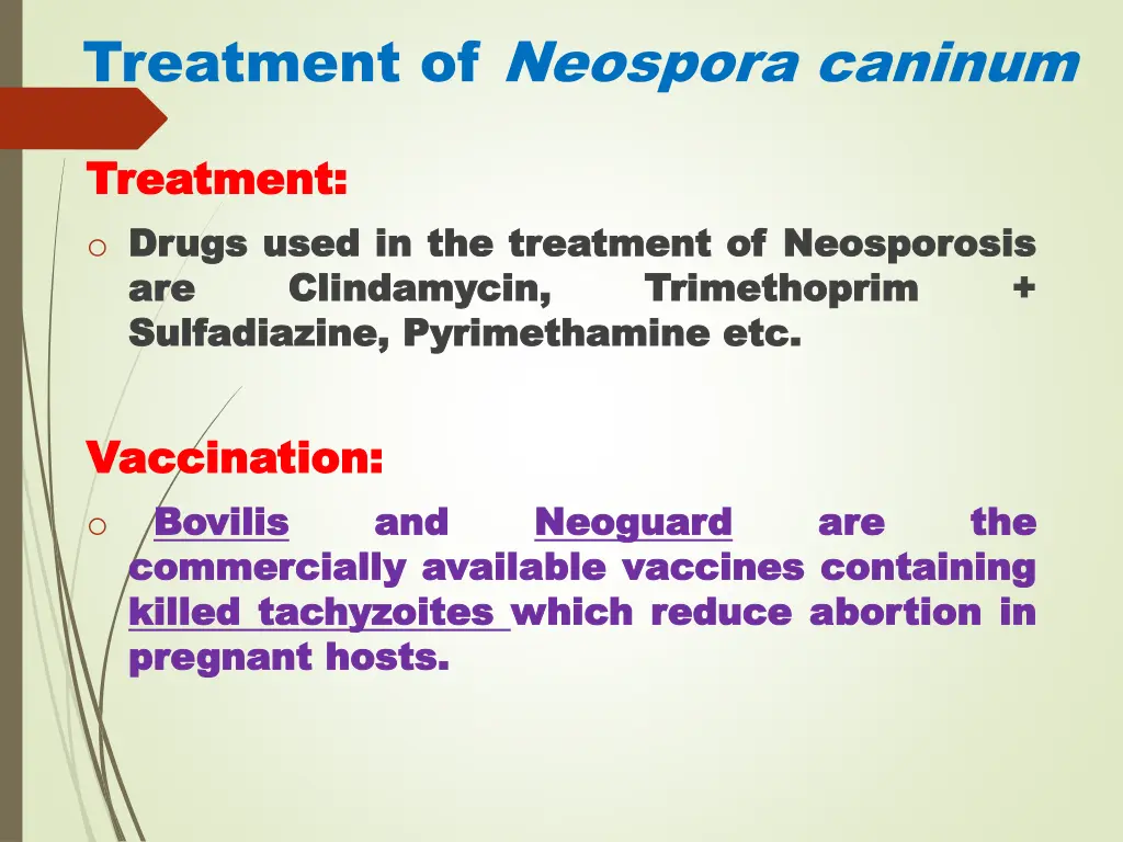 treatment of neospora caninum