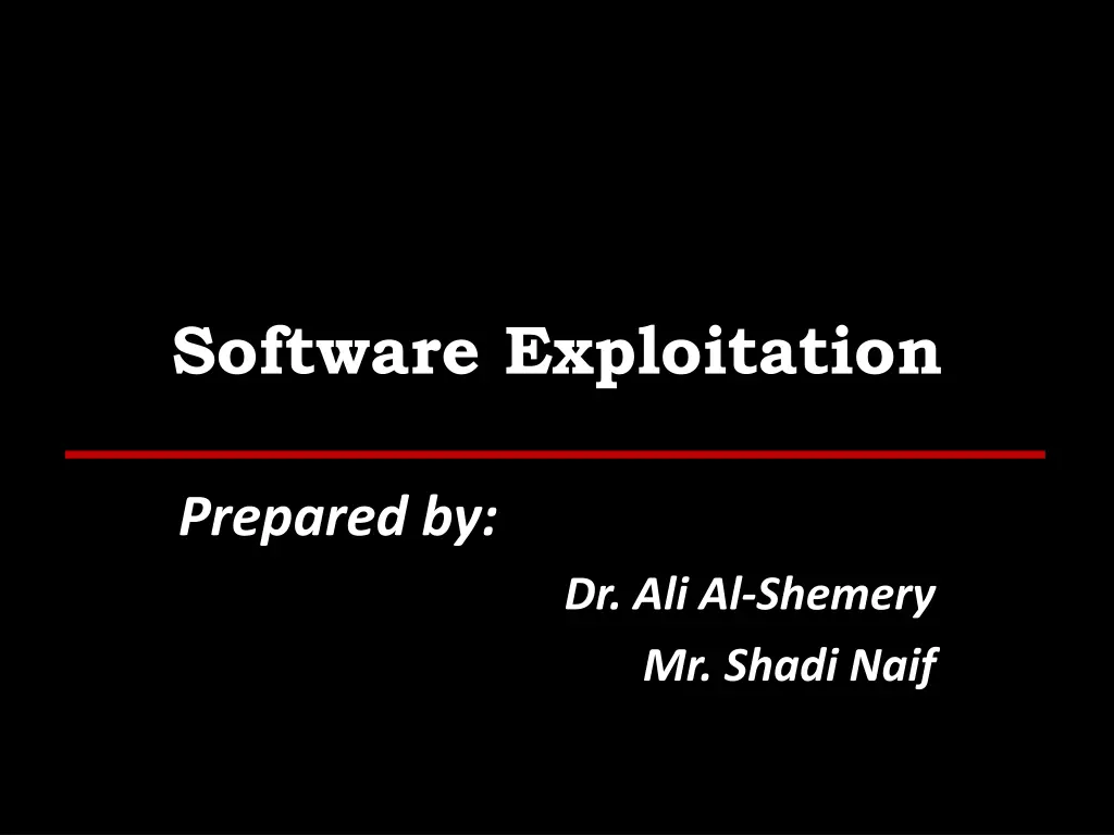 software exploitation