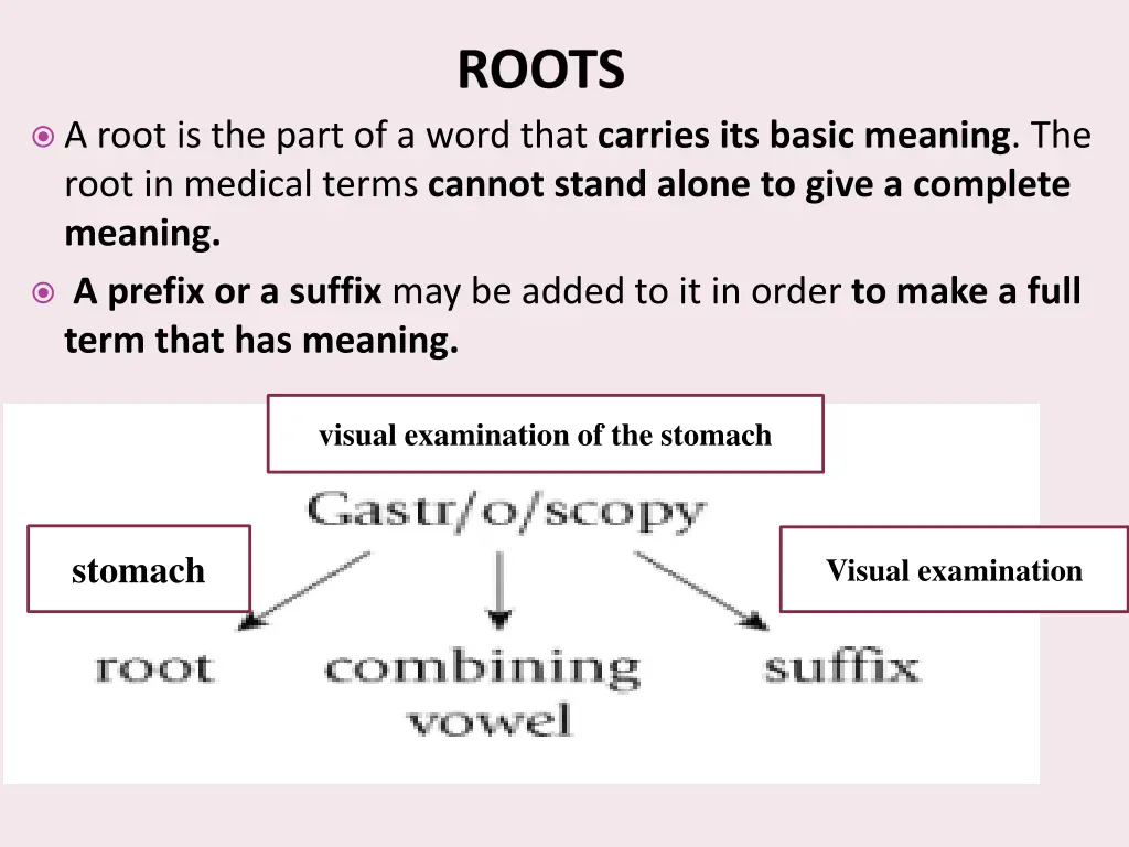 roots 1