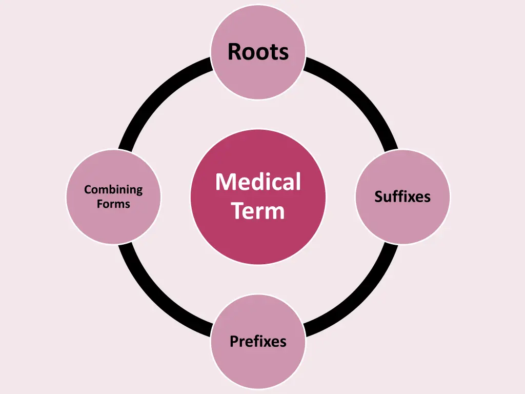 roots