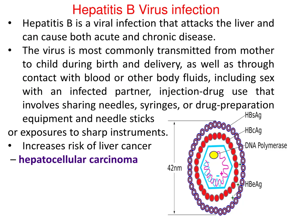hepatitis b virus infection