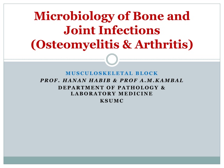 microbiology of bone and joint infections