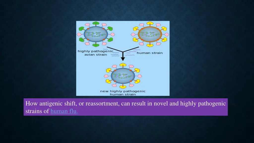 a cartoon showing how viral genes can be shuffled