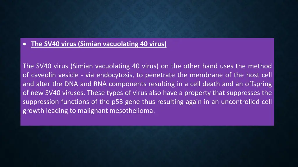 the sv40 virus simian vacuolating 40 virus