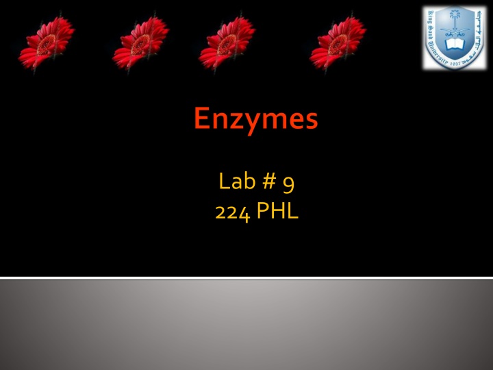 lab 9 224 phl