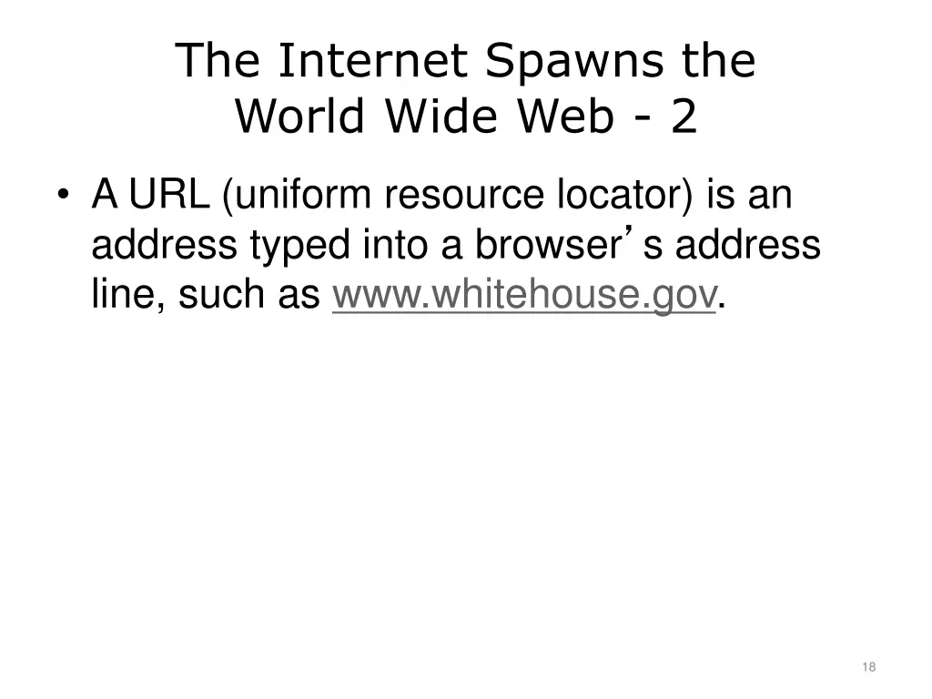the internet spawns the world wide web 2