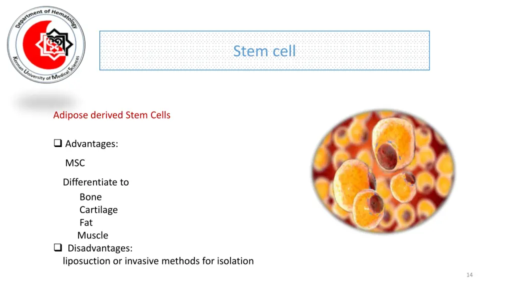 stem cell 10