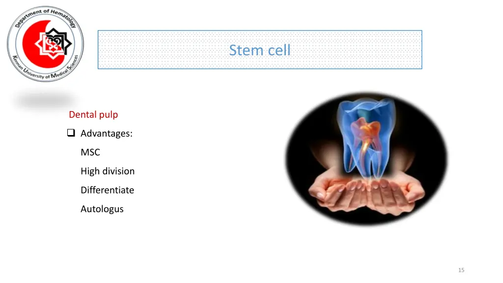 stem cell 11