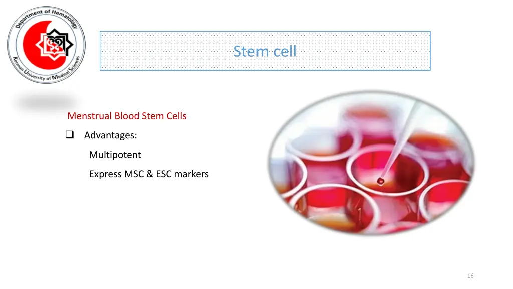 stem cell 12