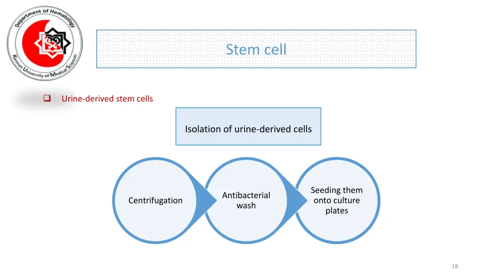 stem cell 14