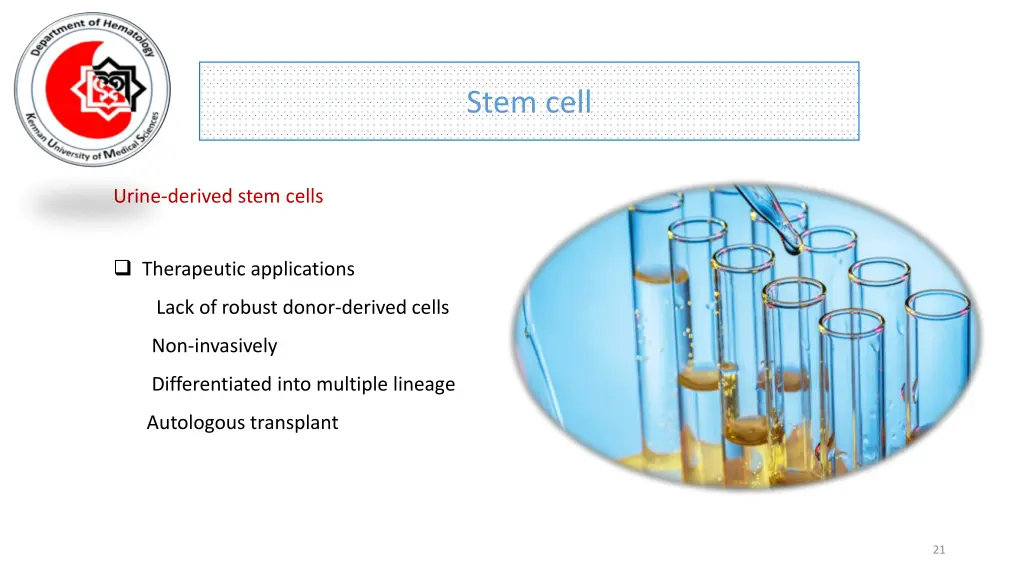 stem cell 17