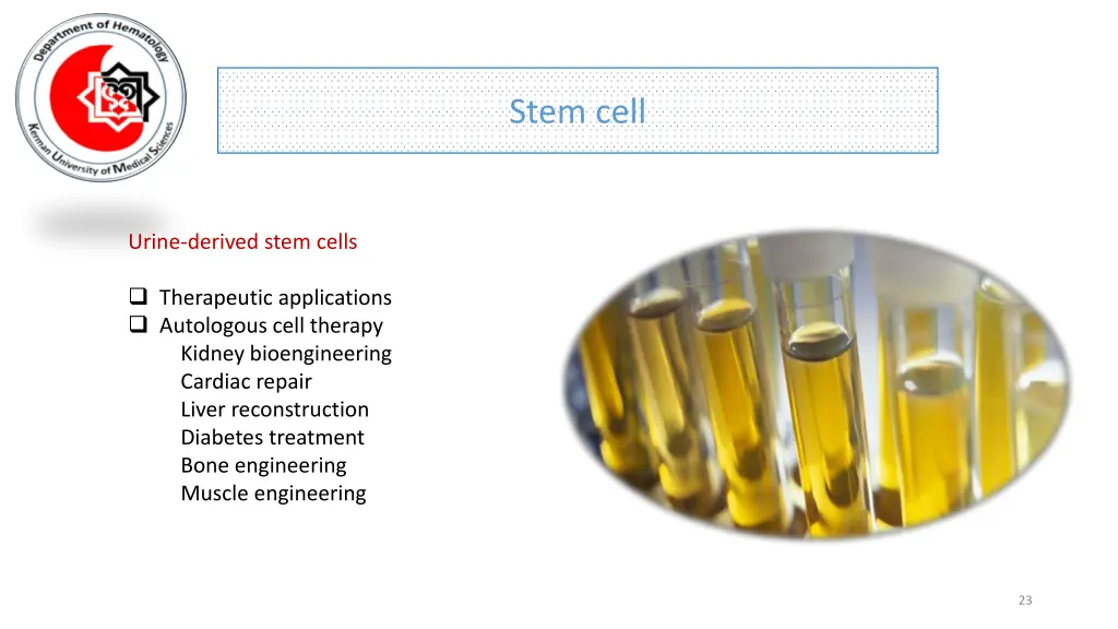 stem cell 19
