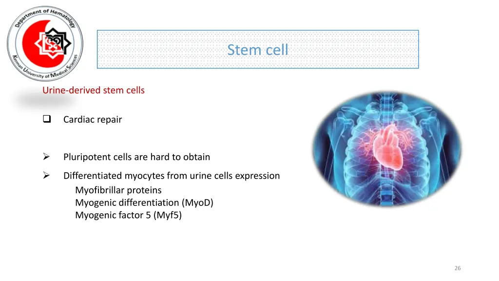 stem cell 22