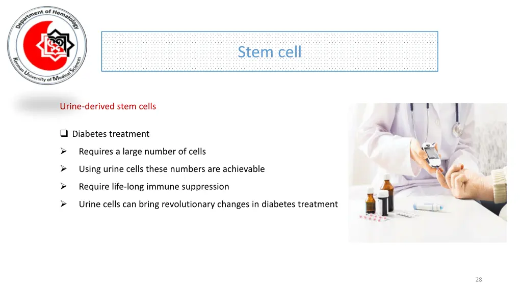 stem cell 24