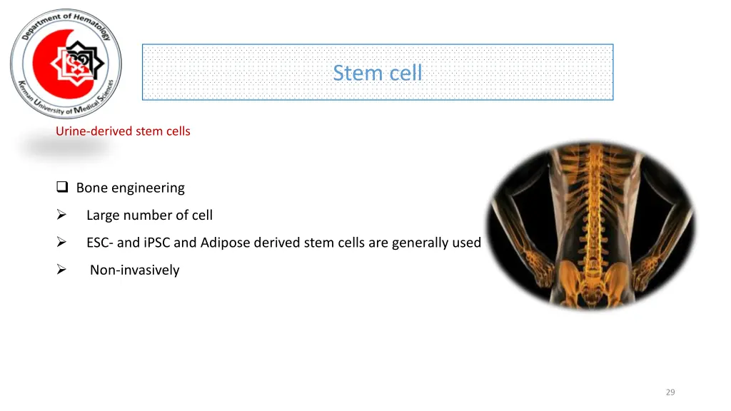 stem cell 25