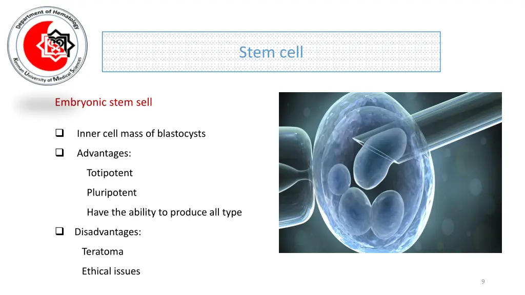 stem cell 5