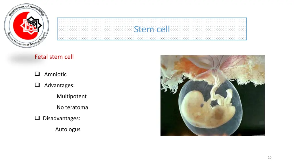 stem cell 6