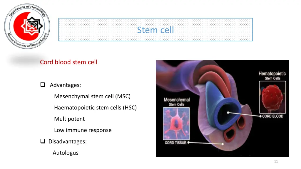 stem cell 7