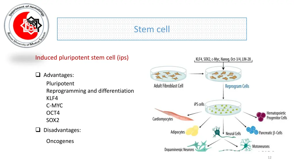stem cell 8