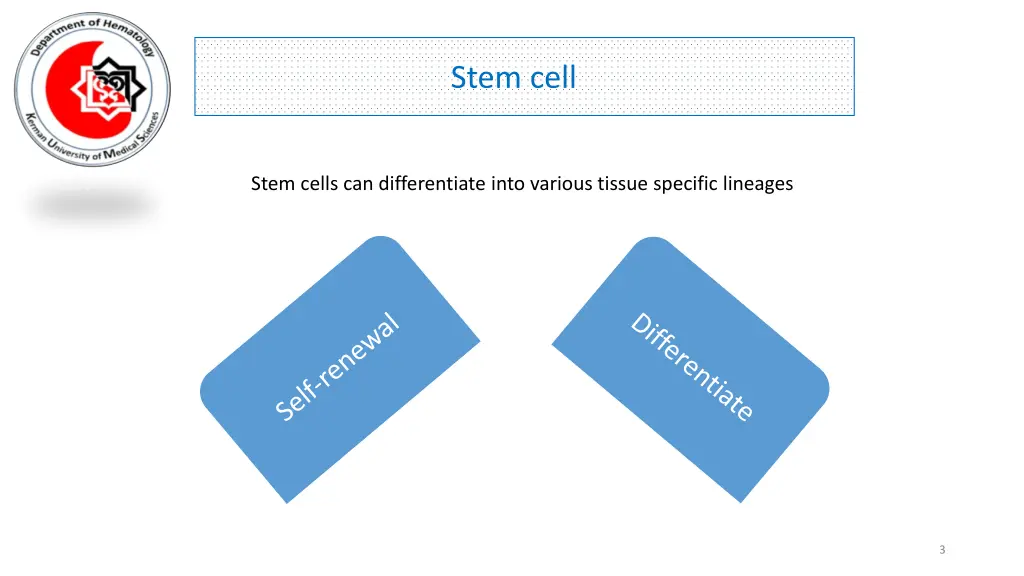 stem cell