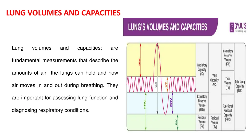 lung volumes and capacities