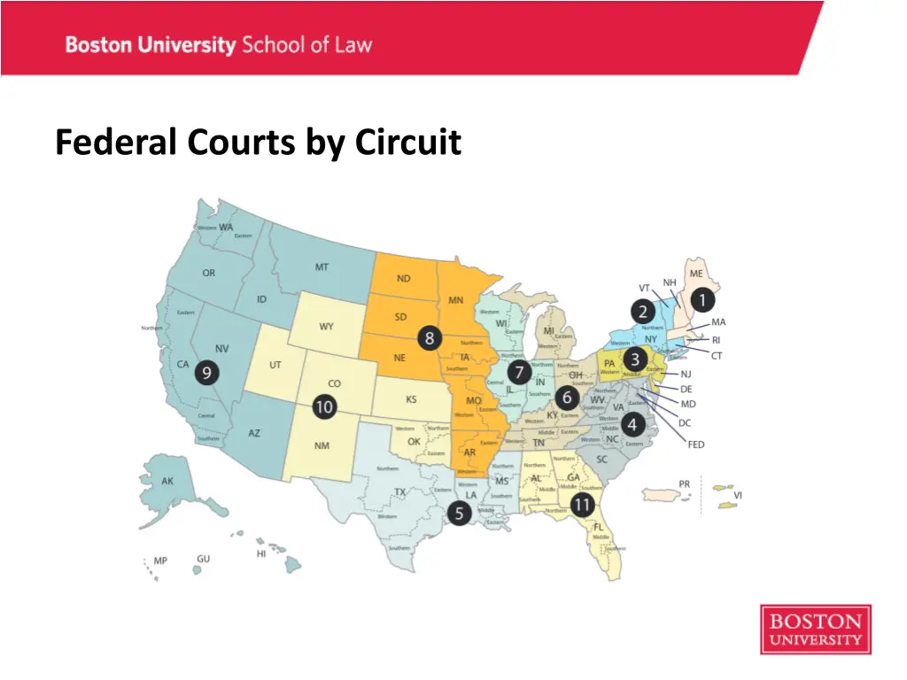 federal courts by circuit