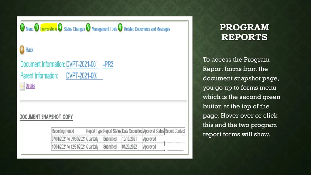 program reports