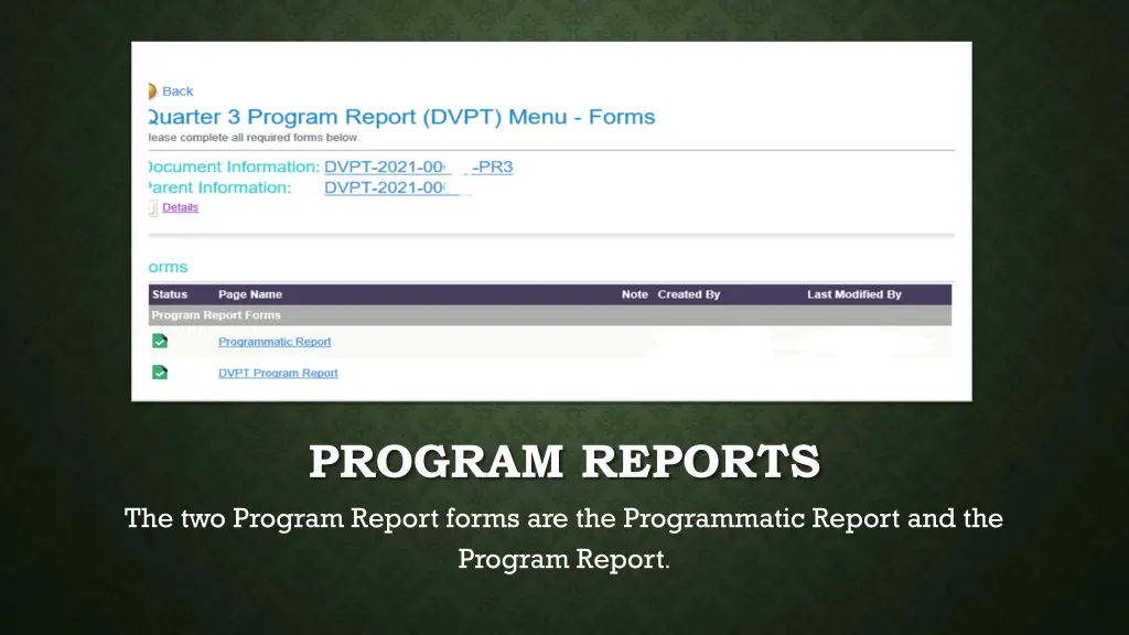 program reports the two program report forms