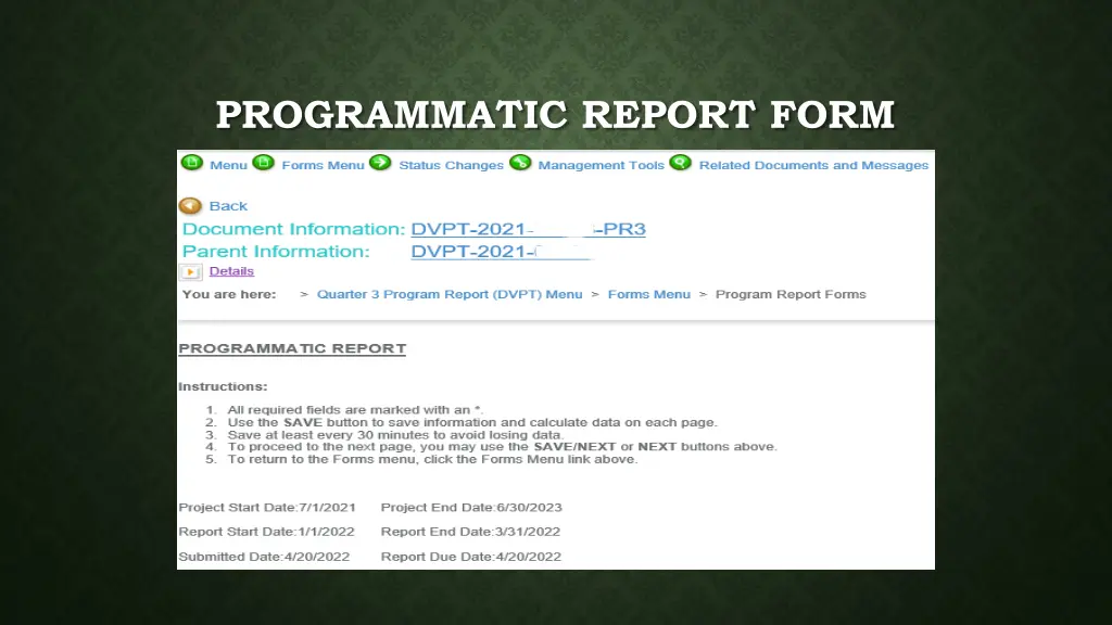 programmatic report form