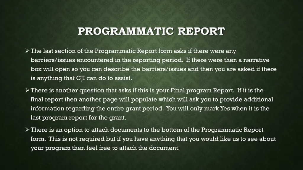 programmatic report