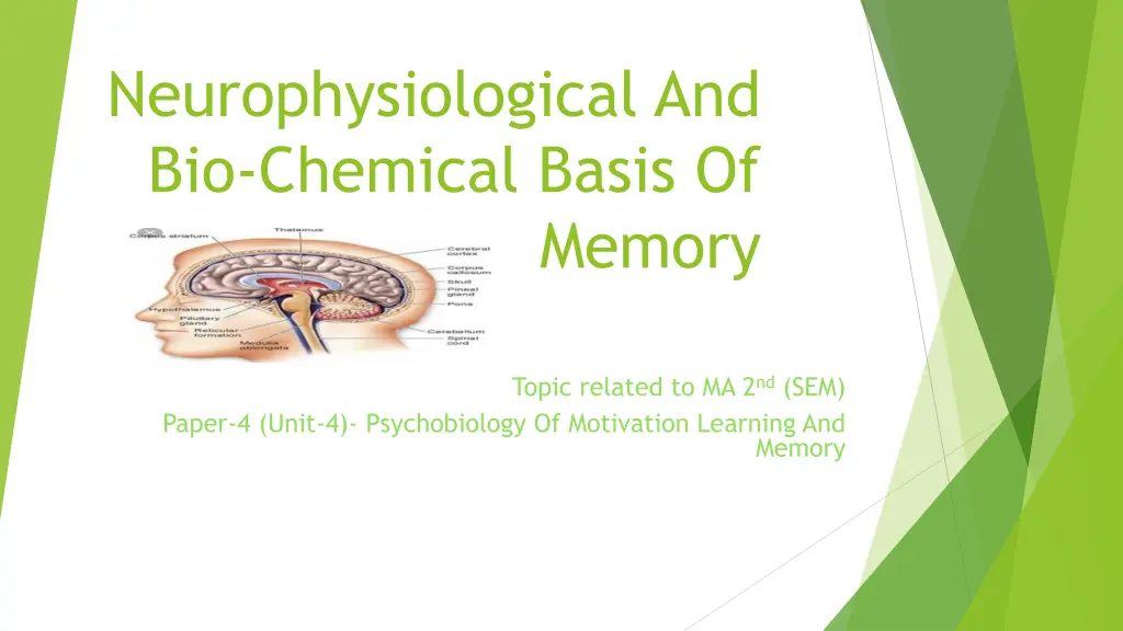 neurophysiological and bio chemical basis of