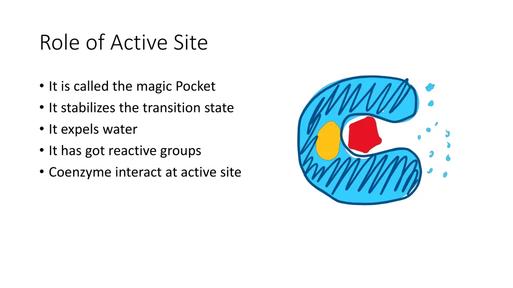 role of active site