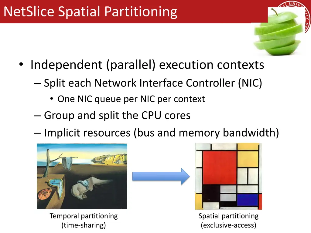 netslice spatial partitioning