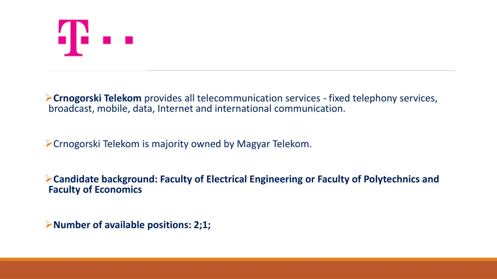 crnogorski telekom provides all telecommunication