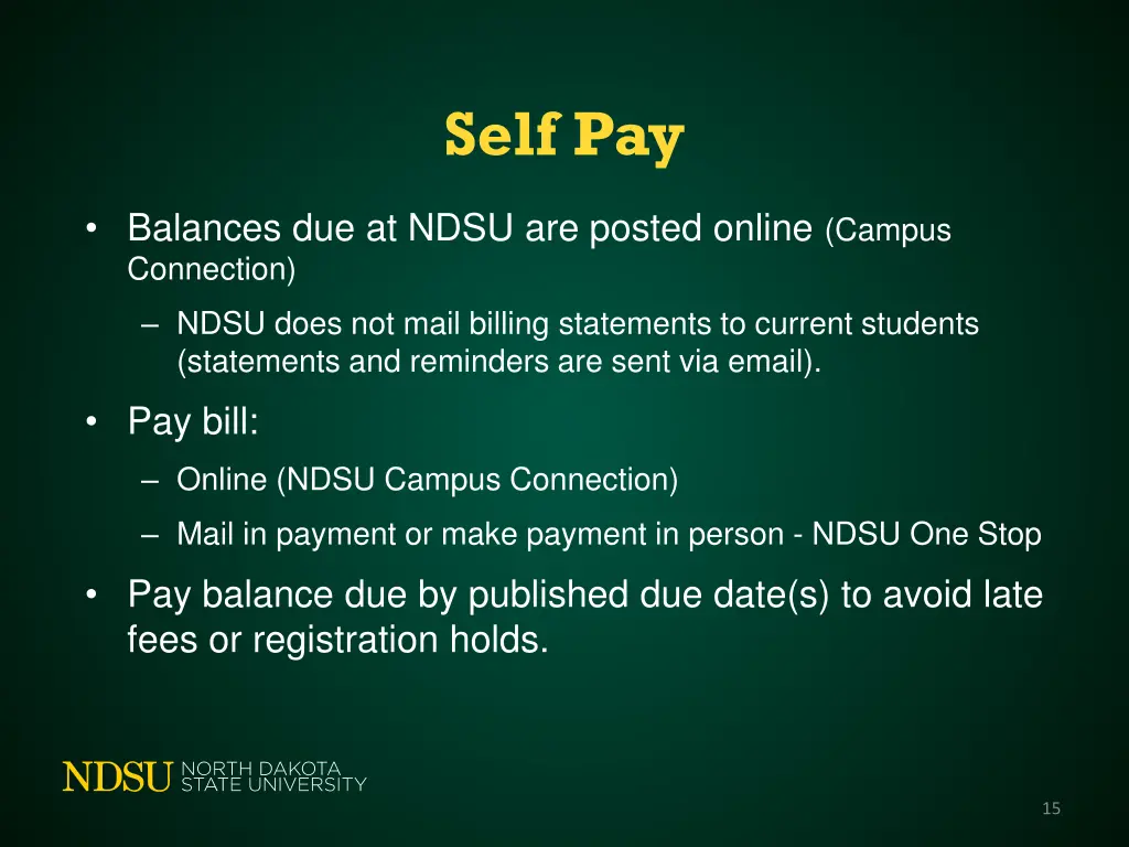 self pay