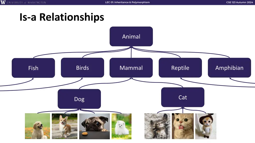 lec 01 inheritance polymorphism 4