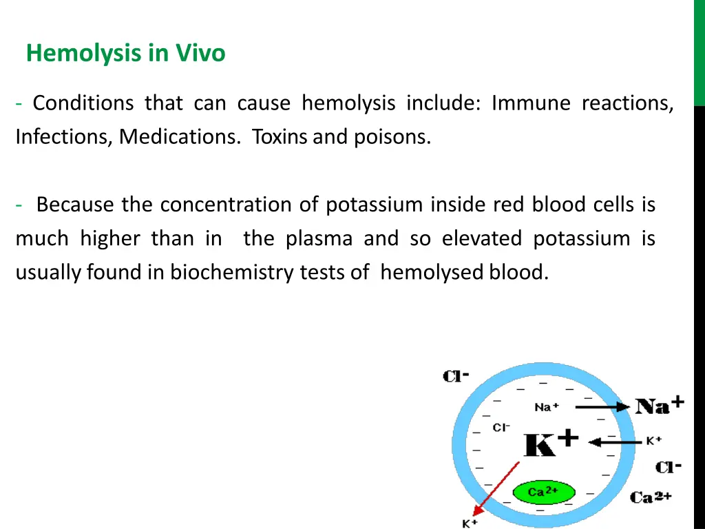 hemolysis in vivo
