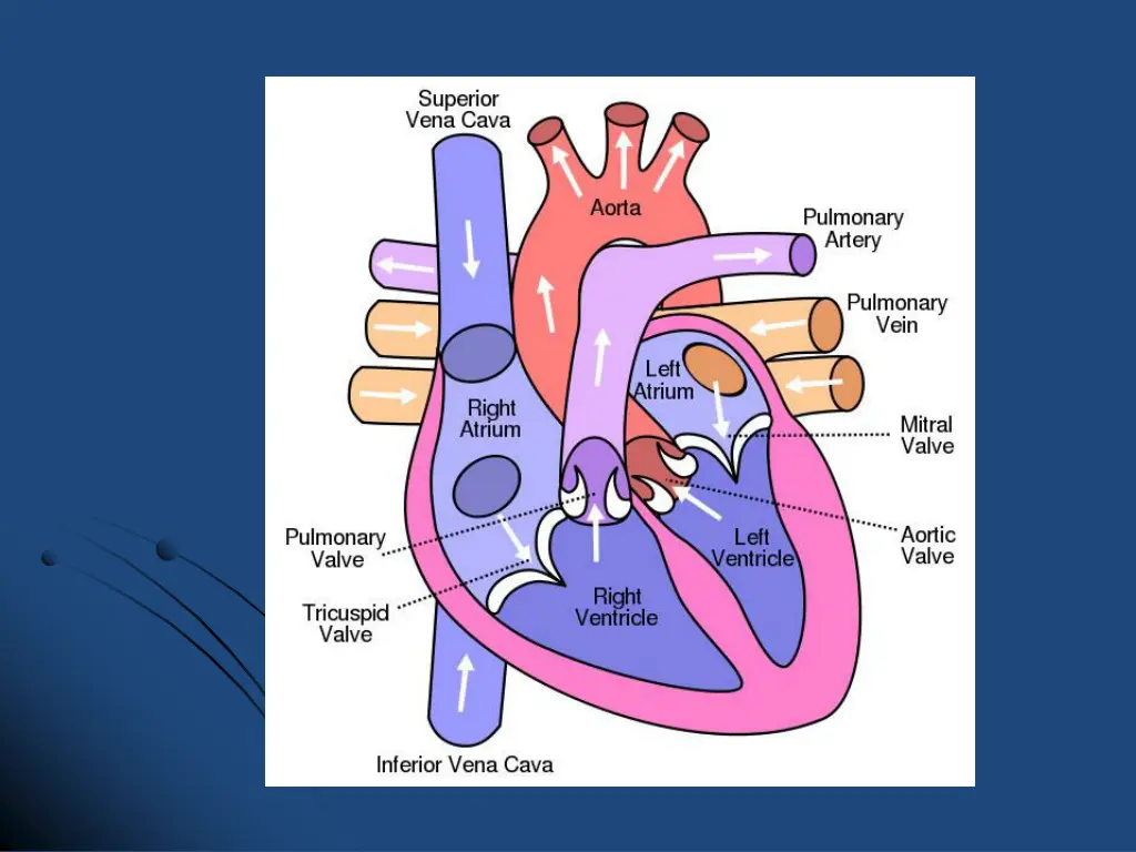 slide20
