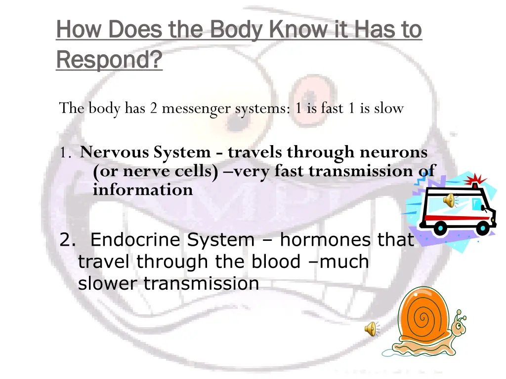 how does the body know it has to how does