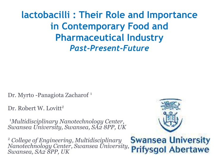 lactobacilli their role and importance