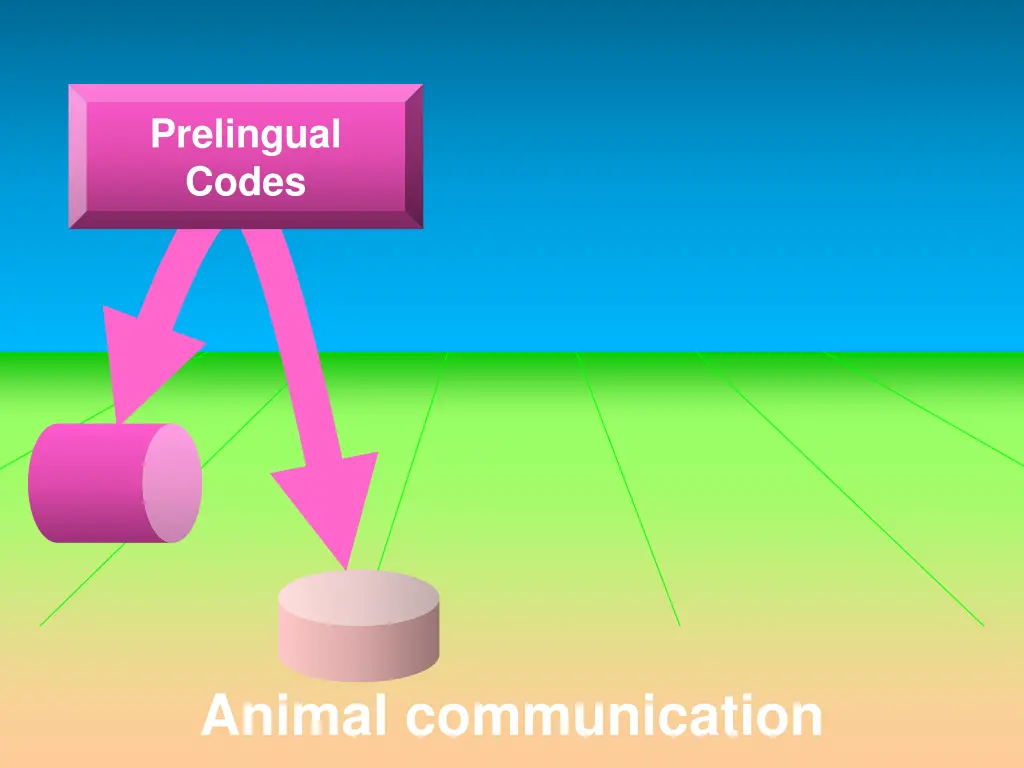 prelingual codes
