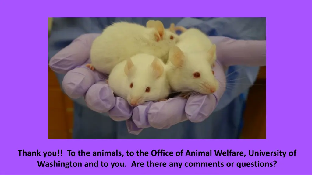 thank you to the animals to the office of animal
