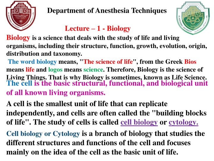department of anesthesia techniques